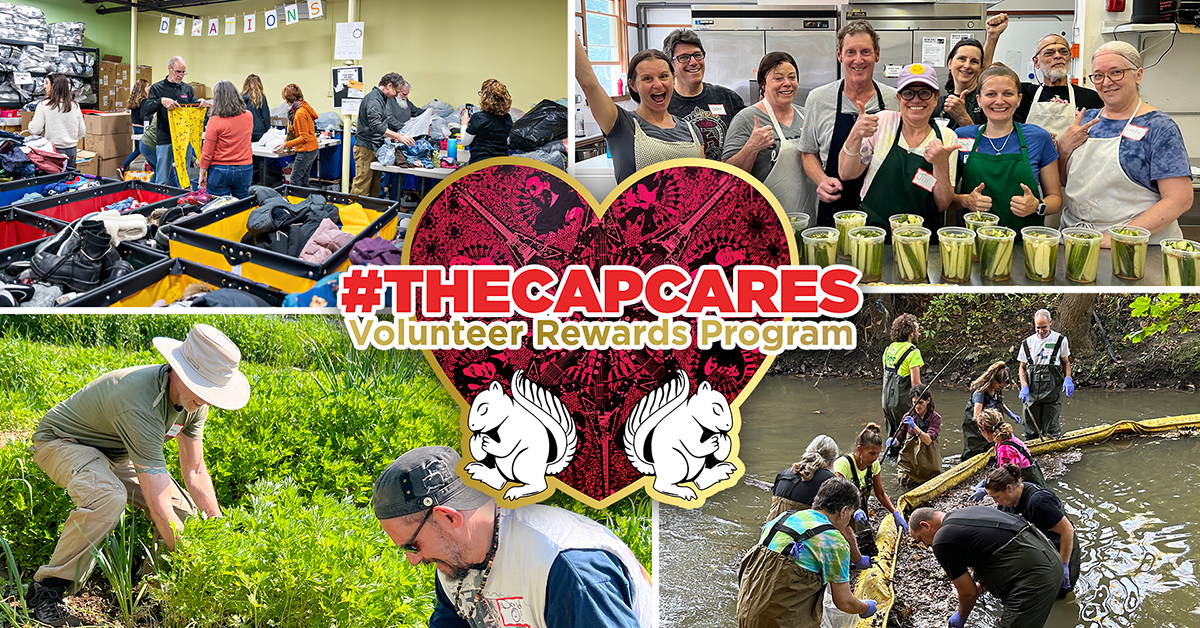 More Info for #TheCapCares Volunteer Rewards Program 