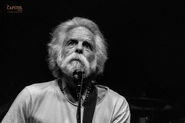 53405901831_66163d91ca_o copy 2 Medium.jpeg