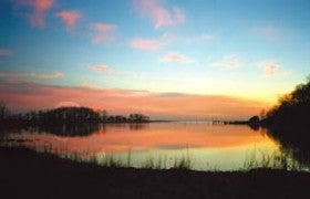 Rye Marshlands Conservancy